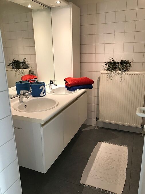 RUIM, LICHTRIJK APPARTEMENT