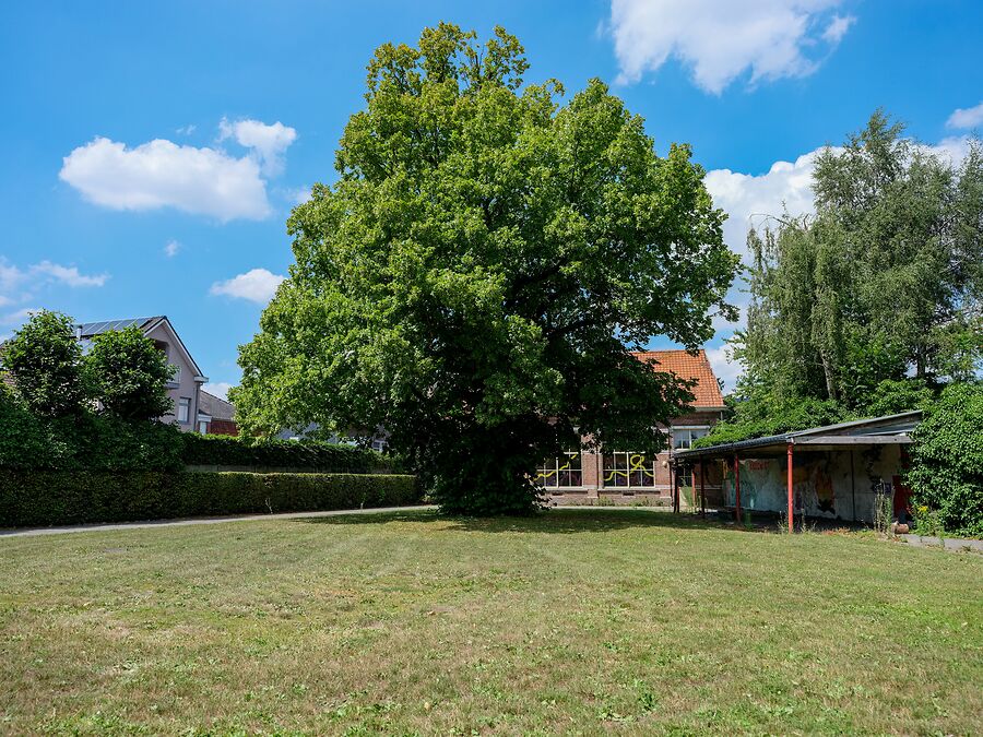 Te renoveren school in het groene Bellem