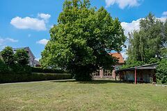 Te renoveren school in het groene Bellem